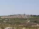 P1030870_28640x48029.jpg