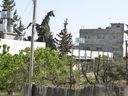 P1030903_28640x48029.jpg