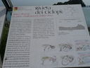 P1090619.JPG