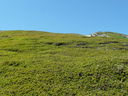 P1100014.JPG