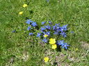 P1100017.JPG