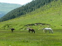 P1100019.JPG