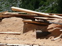 P1100026.JPG