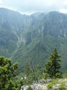 P1100091~0.JPG