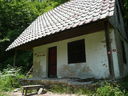 P1100092.JPG