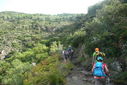 P1100615.JPG