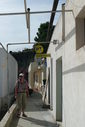 P1100720.JPG