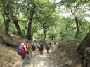 IMG_7357.JPG