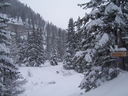foto_029.jpg