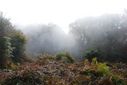 DSC_0881.JPG