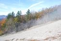 DSC_0902.JPG