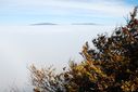 DSC_0912.JPG