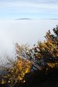 DSC_0913.JPG