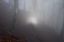 DSC_0946.JPG