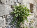 DSCN1260.JPG