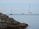 DSCN1309.JPG