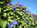 DSCN1321.JPG