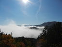 DSCN0347.JPG