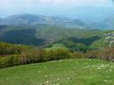 DSCF4874.JPG