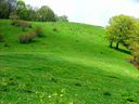 DSCF4876.JPG