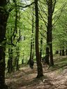 DSCF4877.JPG