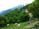 DSCF4894.JPG