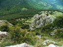 DSCF4901.JPG