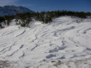 01_Fanes-383.jpg