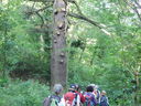 DSCN2507.JPG
