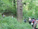 DSCN2509.JPG