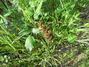 DSCN2512.JPG
