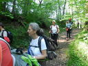 DSCN2528.JPG