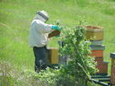 DSCN2543.JPG