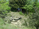 DSCN2547.JPG