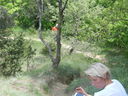 DSCN2548.JPG
