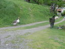 DSCN2555.JPG