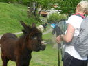 DSCN2557.JPG