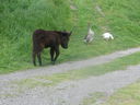 DSCN2558.JPG