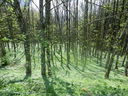 DSCN2613.JPG