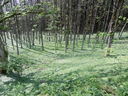 DSCN2615.JPG