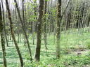 DSCN2619.JPG