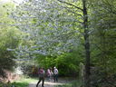 DSCN2626.JPG