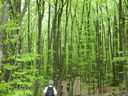 DSCN2641.JPG
