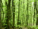 DSCN2644.JPG