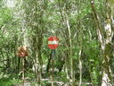 DSCN2665.JPG