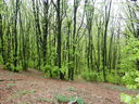 DSCN2669~0.JPG