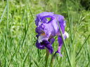 DSCN2708.JPG