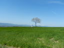 DSCN2728.JPG