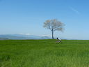 DSCN2730.JPG