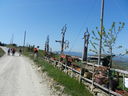 DSCN2731.JPG